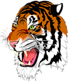 Leland Middle 